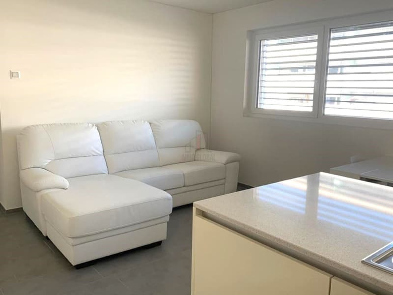 ACCOGLIENTE BILOCALE IN CITTÃ (3)