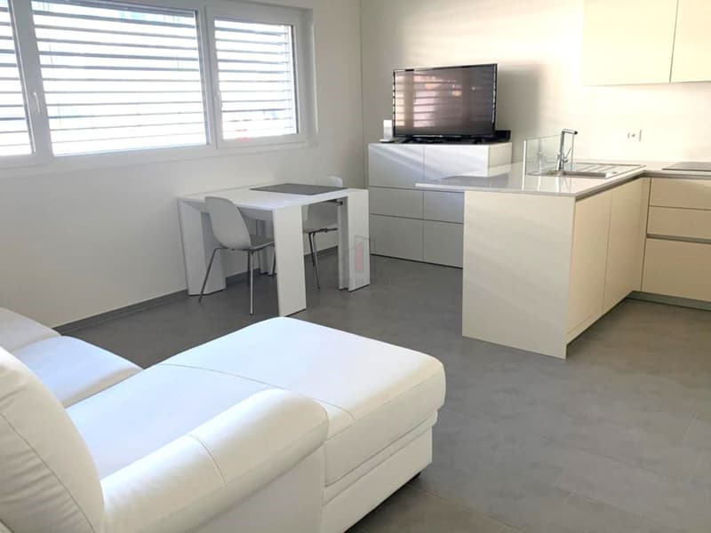ACCOGLIENTE BILOCALE IN CITTÃ (1)