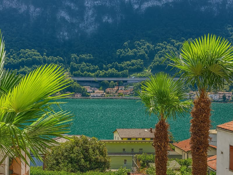 IL LUOGO IDEALE ANCHE PER LE TUE VACANZE (1)