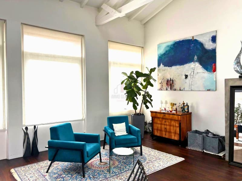 MAGNIFICO LOFT AD UN NUOVO PREZZO (6)