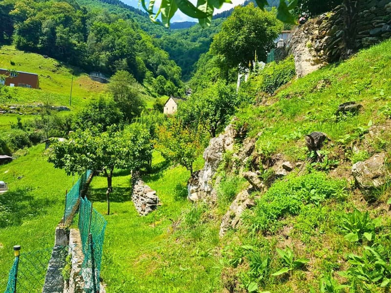 UN POSTO DA SOGNO DOVE VIVERE DI QUALITA' (7)