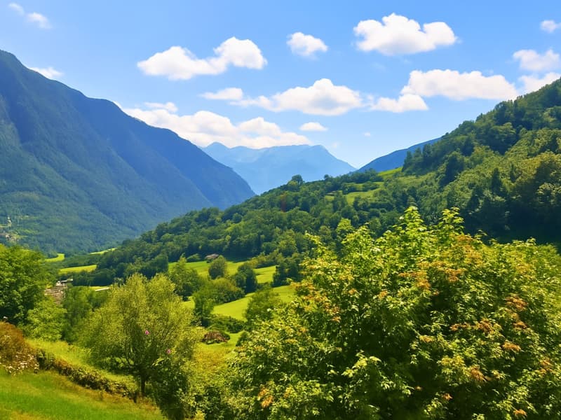 UN POSTO DA SOGNO DOVE VIVERE DI QUALITA' (10)