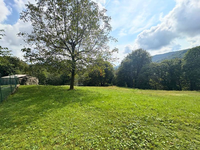 UN ANGOLO DI PARADISO (9)