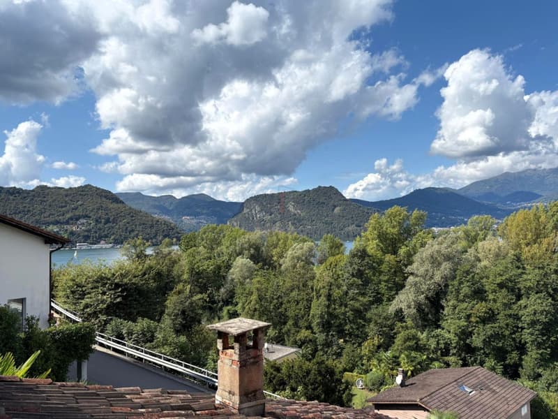 GRAZIOSA CON GIARDINO E PARZIALE VISTA LAGO (1)
