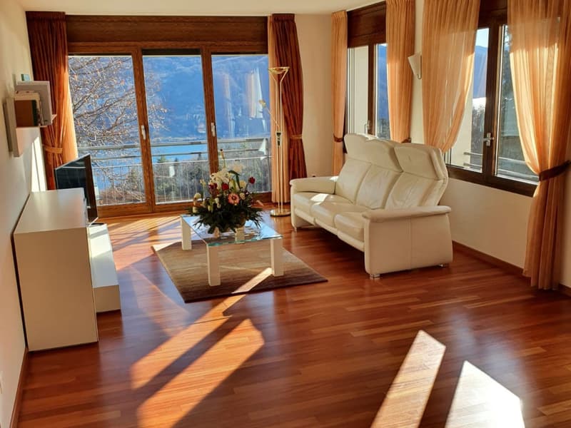 PER LE TUE VACANZE IN TICINO (3)