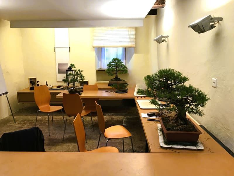 UN PROGETTO UNICO A DUE PASSI DAL LAGO (12)