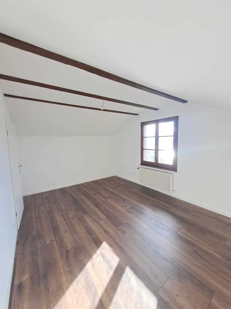 Charming chalet completely renovated (20)