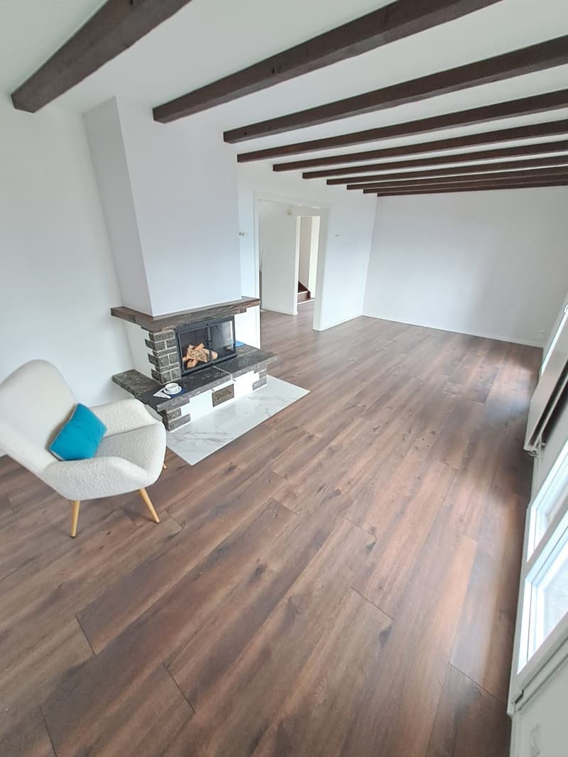 Charming chalet completely renovated (17)