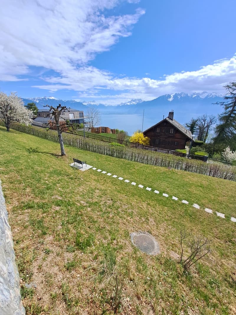 Charming chalet completely renovated (7)