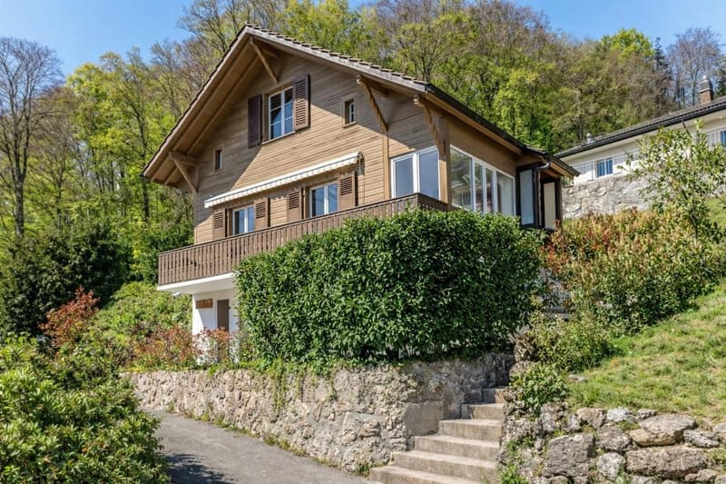 Charming chalet completely renovated (1)