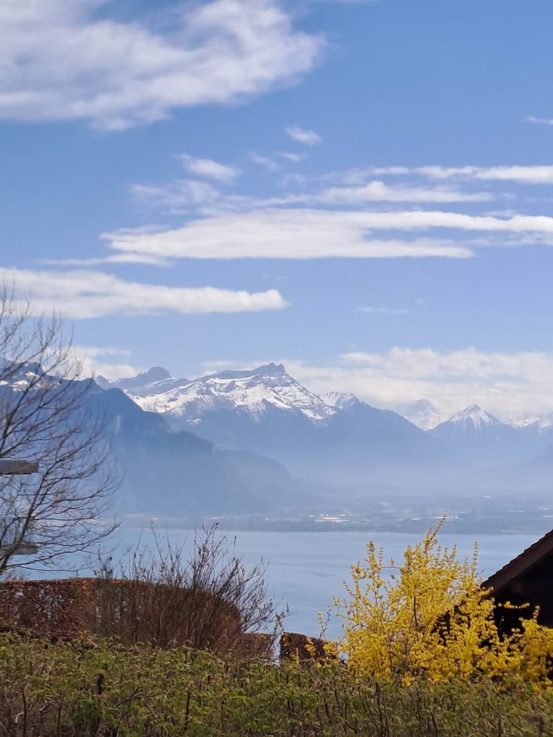 Charming chalet completely renovated (6)