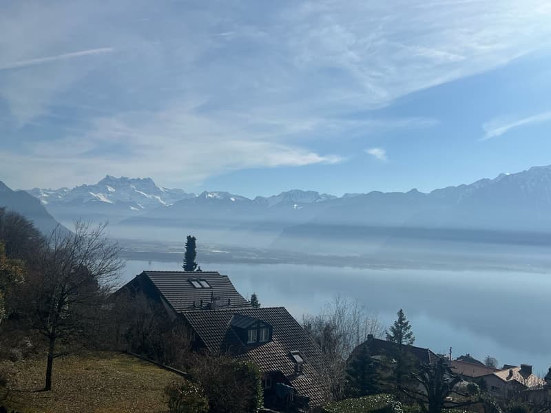Detached house in Chernex (3)