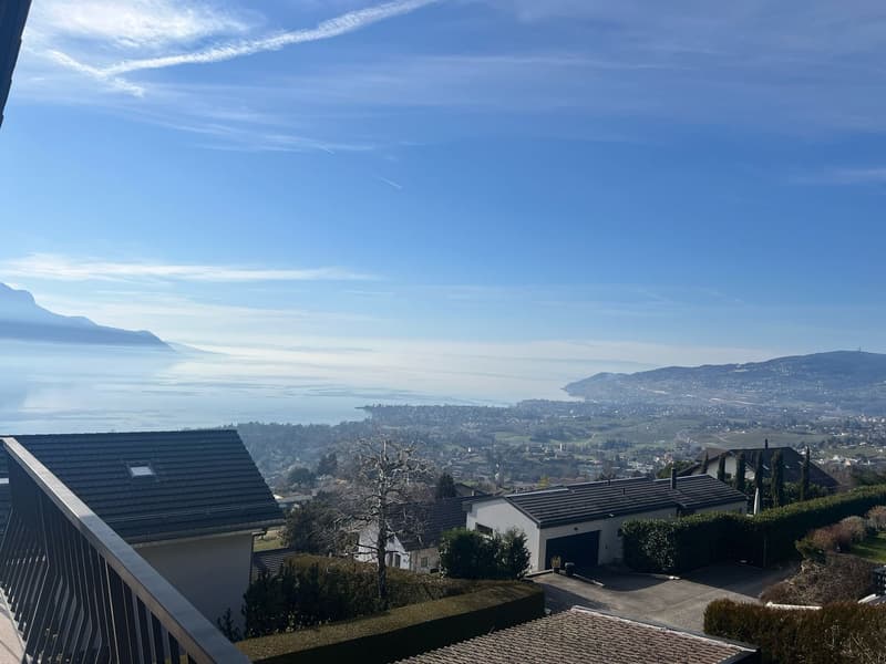 Detached house in Chernex (2)