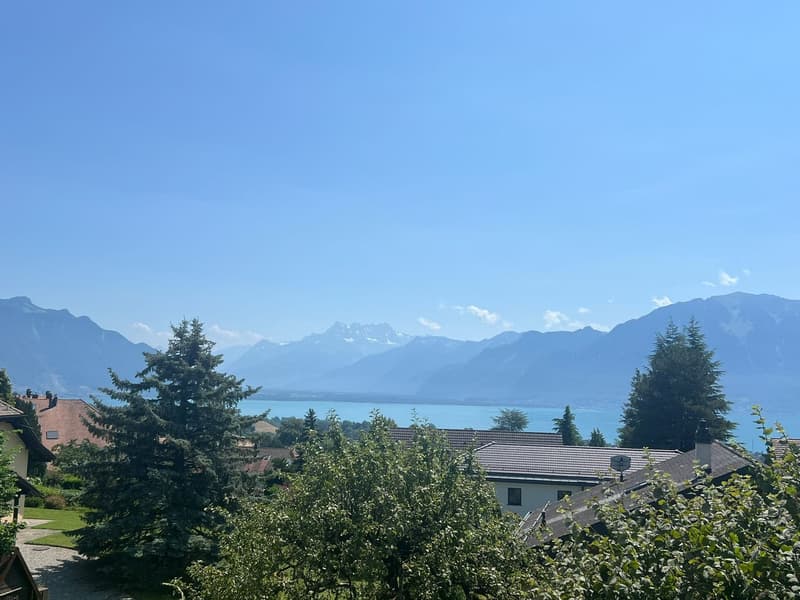 The image shows a scenic view of a mountainous landscape with a lake in the distance. The foreground features a residential area with houses and trees. The background is dominated by snow-capped mountains under a clear blue sky.