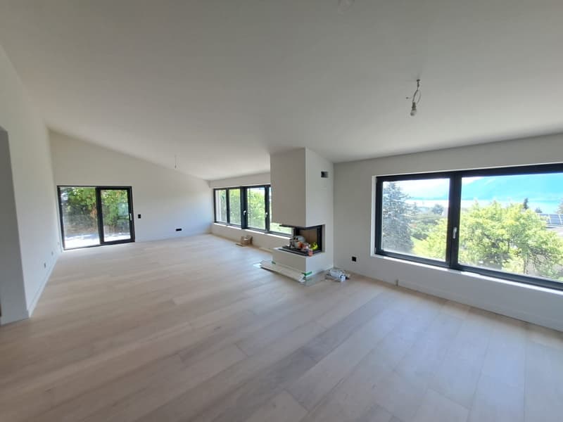 Empty room, hardwood flooring, fireplace, large windows, sliding doors
