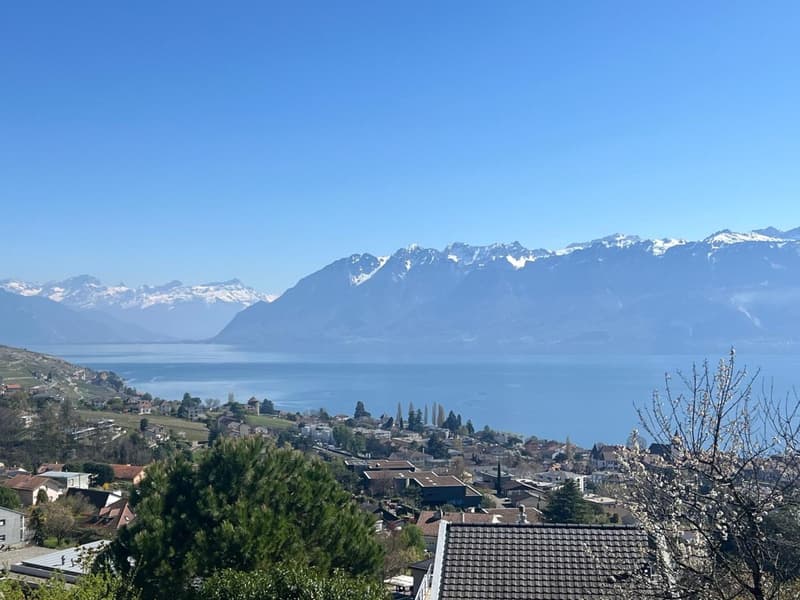 The image shows a picturesque view of a lakeside town surrounded by snow-capped mountains. The town is nestled among lush greenery and appears to have a mix of residential and commercial buildings. The clear blue sky and the serene lake create a tranquil