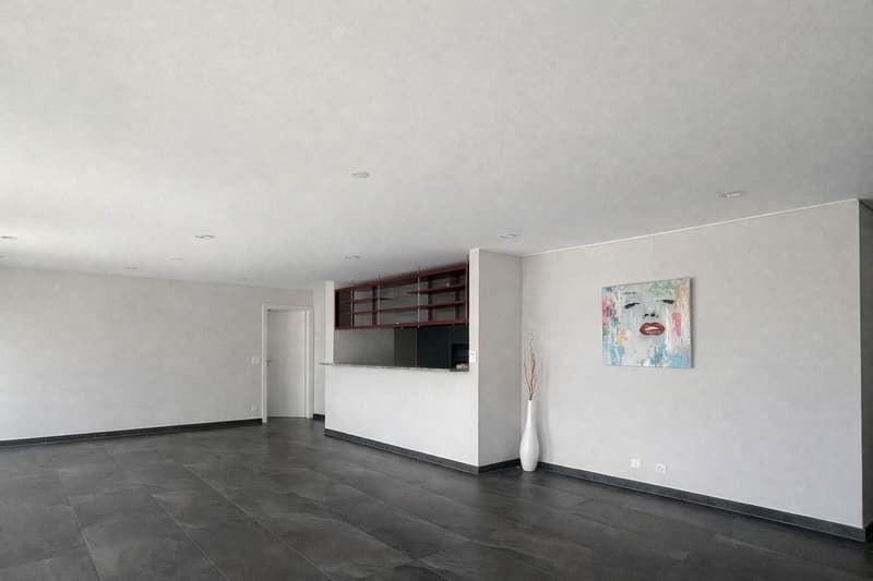 Empty room with white walls, gray floor, a white vase, a painting, and a kitchen area with shelves