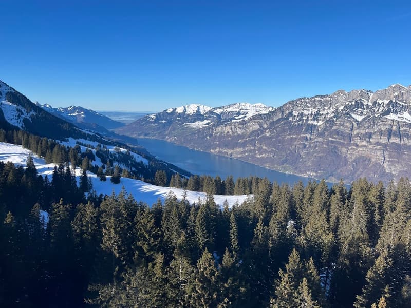 Exklusive 3.5-Zimmerwohnung als zweite Wohnsitz mit traumhafter Panoramasicht auf den Walensee (96)