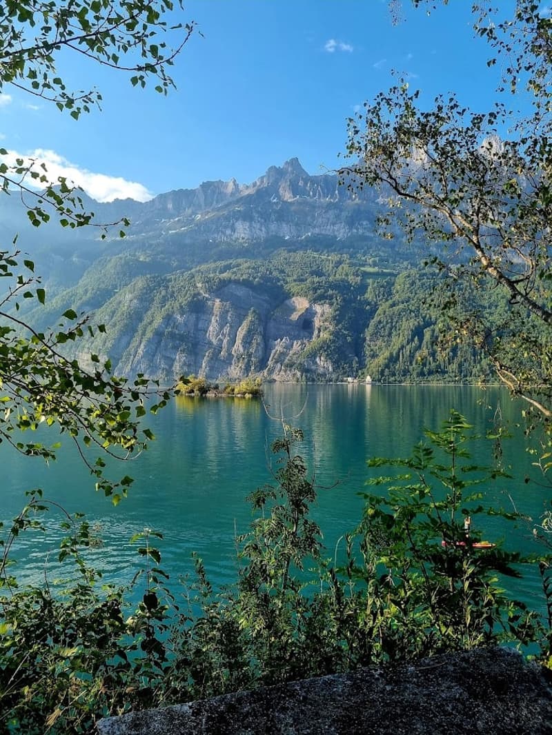 Exklusive 3.5-Zimmerwohnung als zweite Wohnsitz mit traumhafter Panoramasicht auf den Walensee (81)