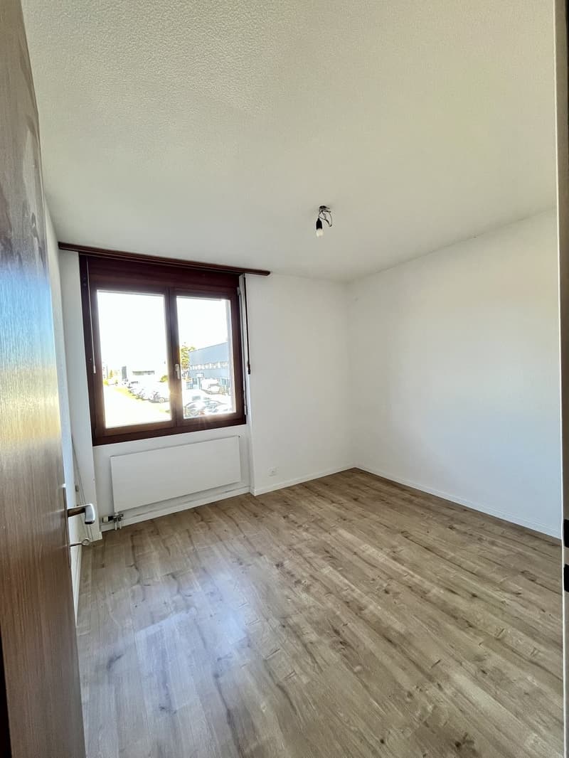 Zimmer1