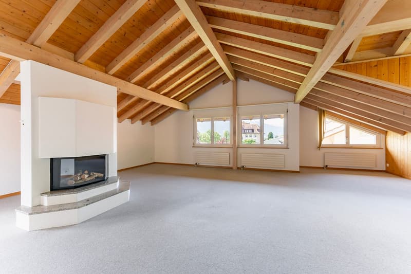 Spacious 4½-room attic apartment with a magnificent view (3)
