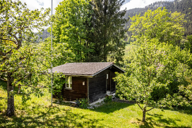 Einmaliges Architektenhaus auf grosszügiger Parzelle in Zweisimmen zu verkaufen (2)