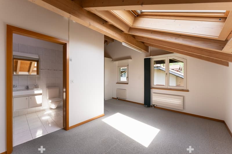145m² Dachwohnung mit Blick auf Eiger, Mönch und Jungfrau (7)