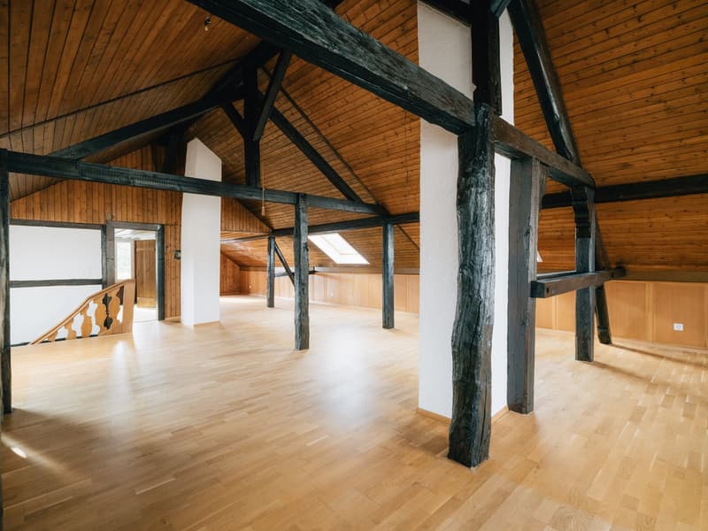 Charaktervolles 12-Zimmer Wohnhaus an idealer Lage in Bern (17)