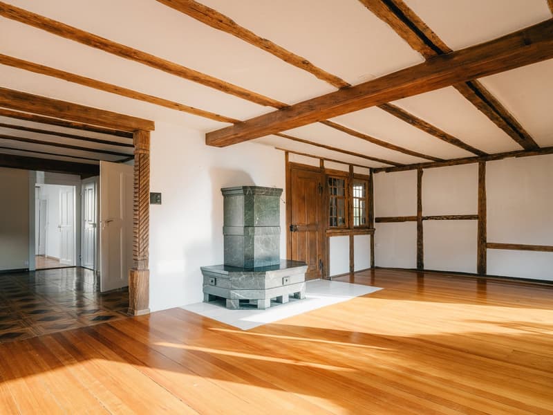 Charaktervolles 12-Zimmer Wohnhaus an idealer Lage in Bern (10)