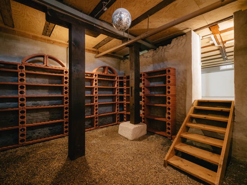 Charaktervolles 12-Zimmer Wohnhaus an idealer Lage in Bern (19)