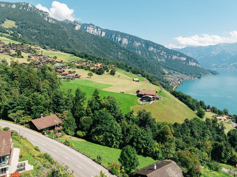 Grosszügige Baulandparzelle mit spektakulärer Aussicht in Sigriswil (3)
