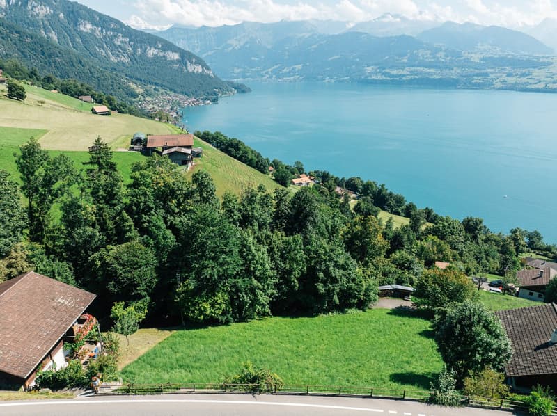 Grosszügige Baulandparzelle mit spektakulärer Aussicht in Sigriswil (4)