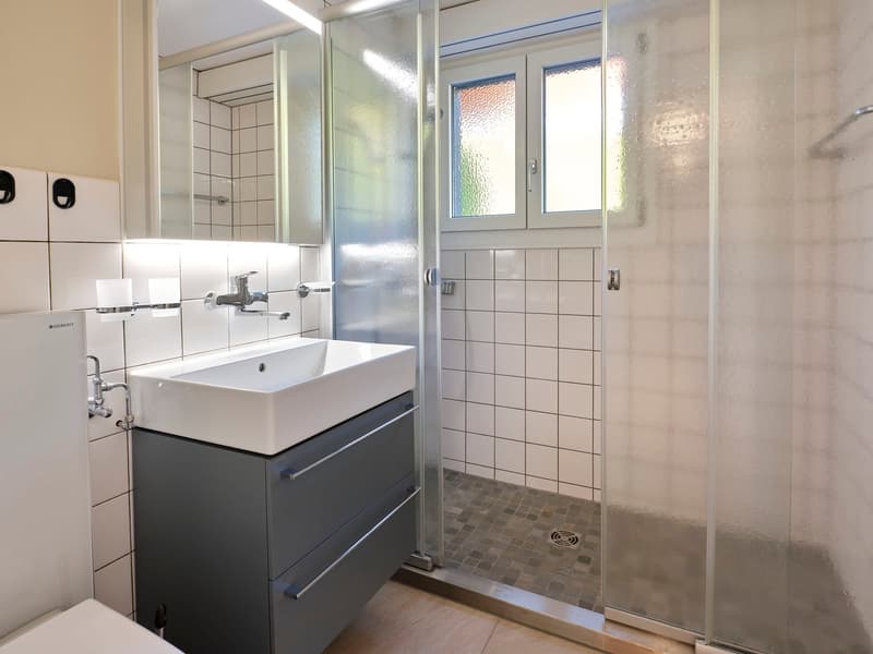 3½-Zi.-Dachwohnung: Wohnen mit 60er-Jahre-Flair und Blick auf das Schloss (9)