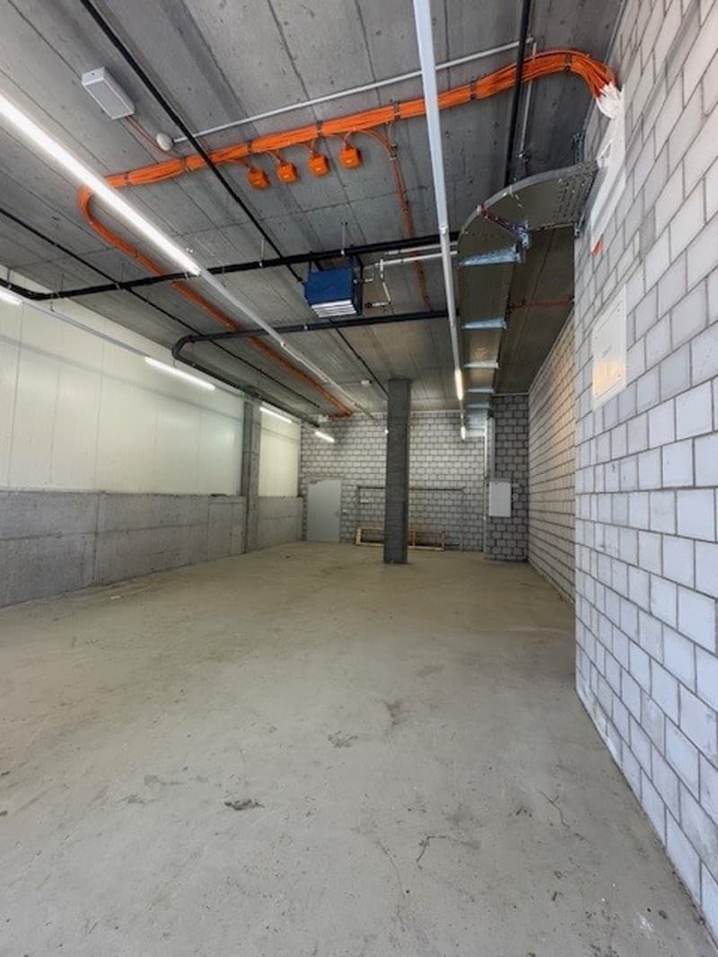 Industrial building, brick walls, concrete floor, white ceiling, fluorescent lighting, pipes, ceiling with vents, open door at end