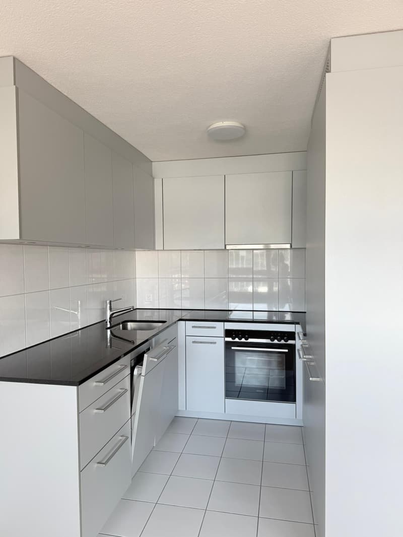 Incantevole appartamento di 3,5 locali con balcone e vista sul lago a Lucerna (6)