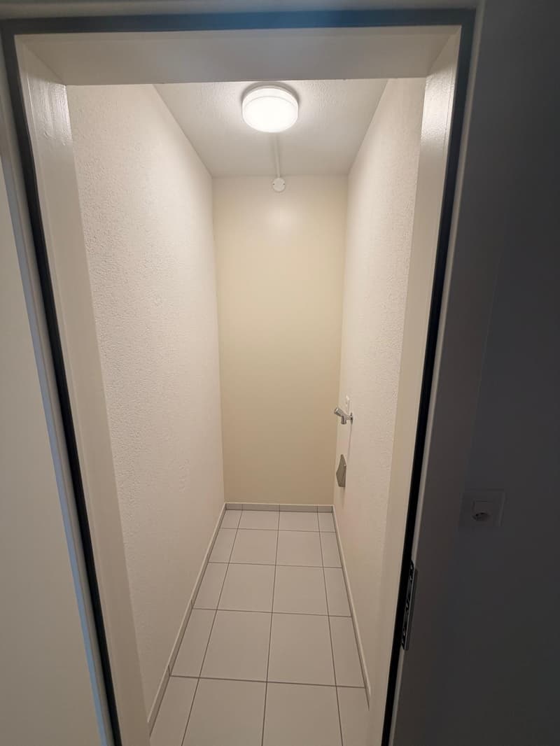 Incantevole appartamento di 3,5 locali con balcone e vista sul lago a Lucerna (2)