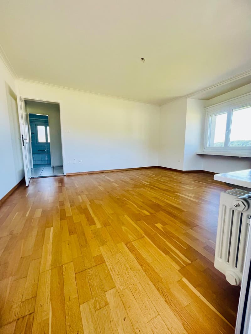 Sonnige 4.5-Zimmer-Wohnung in Hergiswil mit Seeblick Inkl. Aussenparkplatz (11)