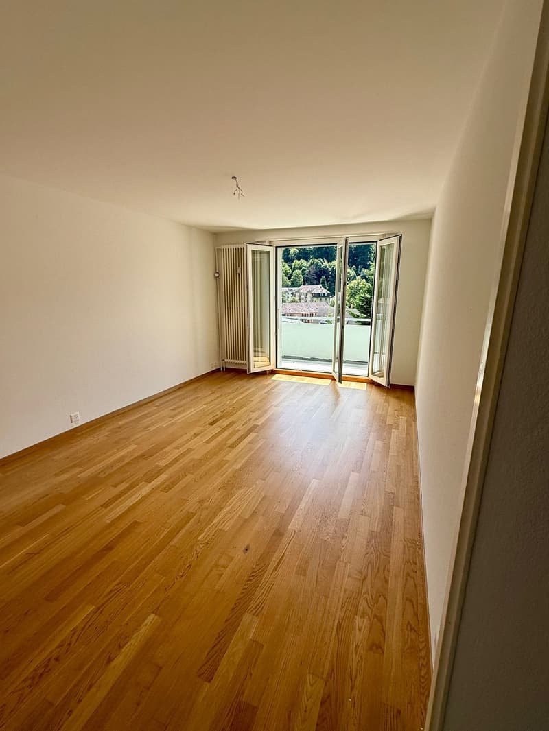 Charming 4.5-room apartment with balcony and beautiful view in Lucerne (3)