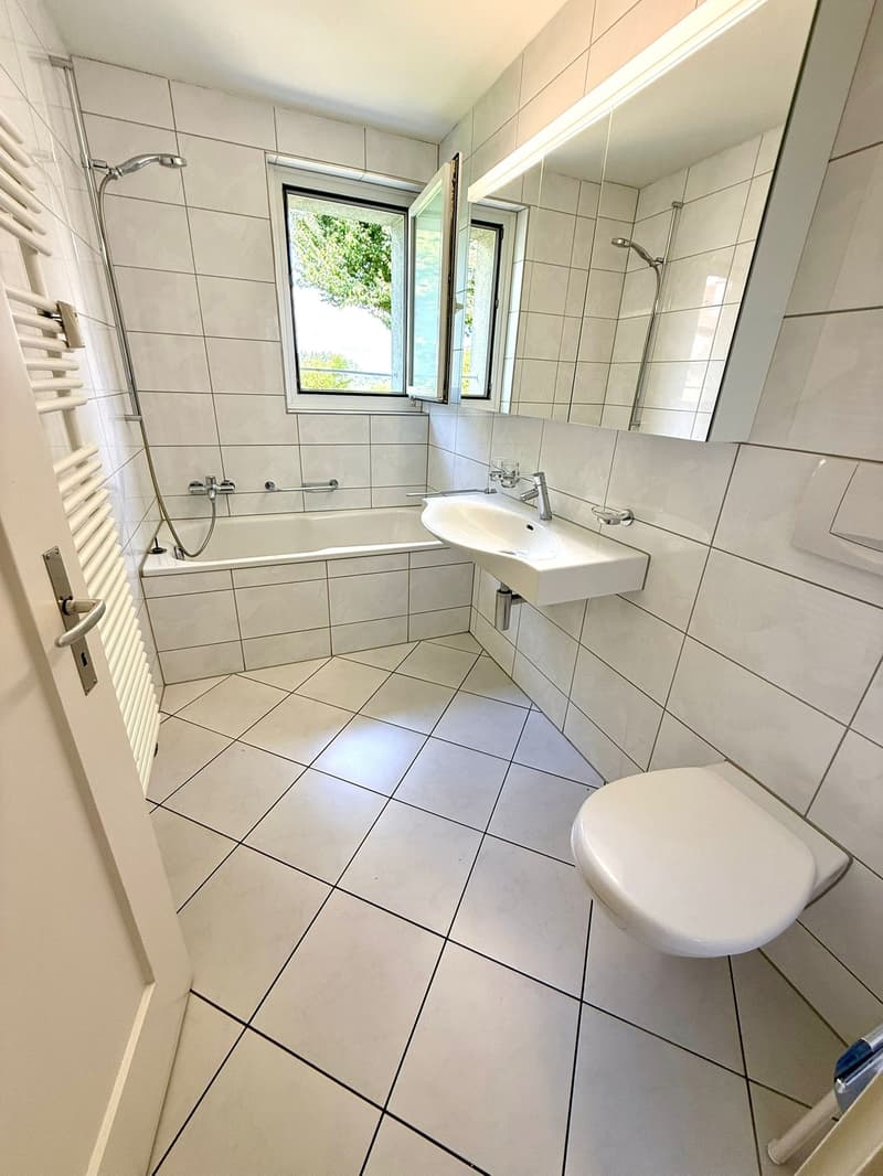 Charming 4.5-room apartment with balcony and beautiful view in Lucerne (8)