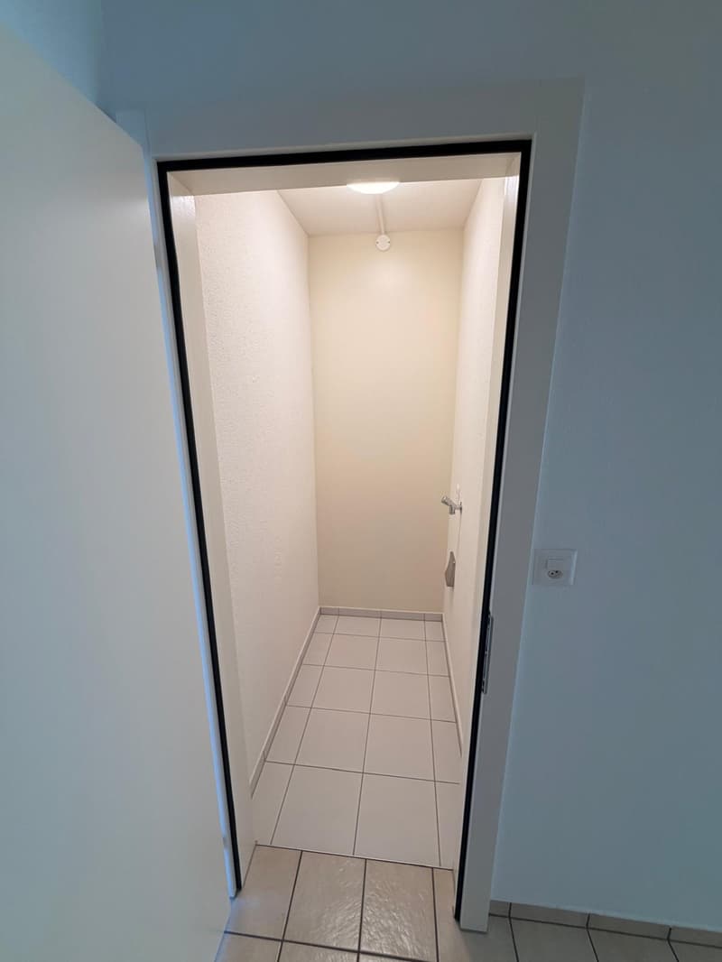 Charmante 3.5-Zimmer-Wohnung mit Balkon und Seeblick in Luzern (7)