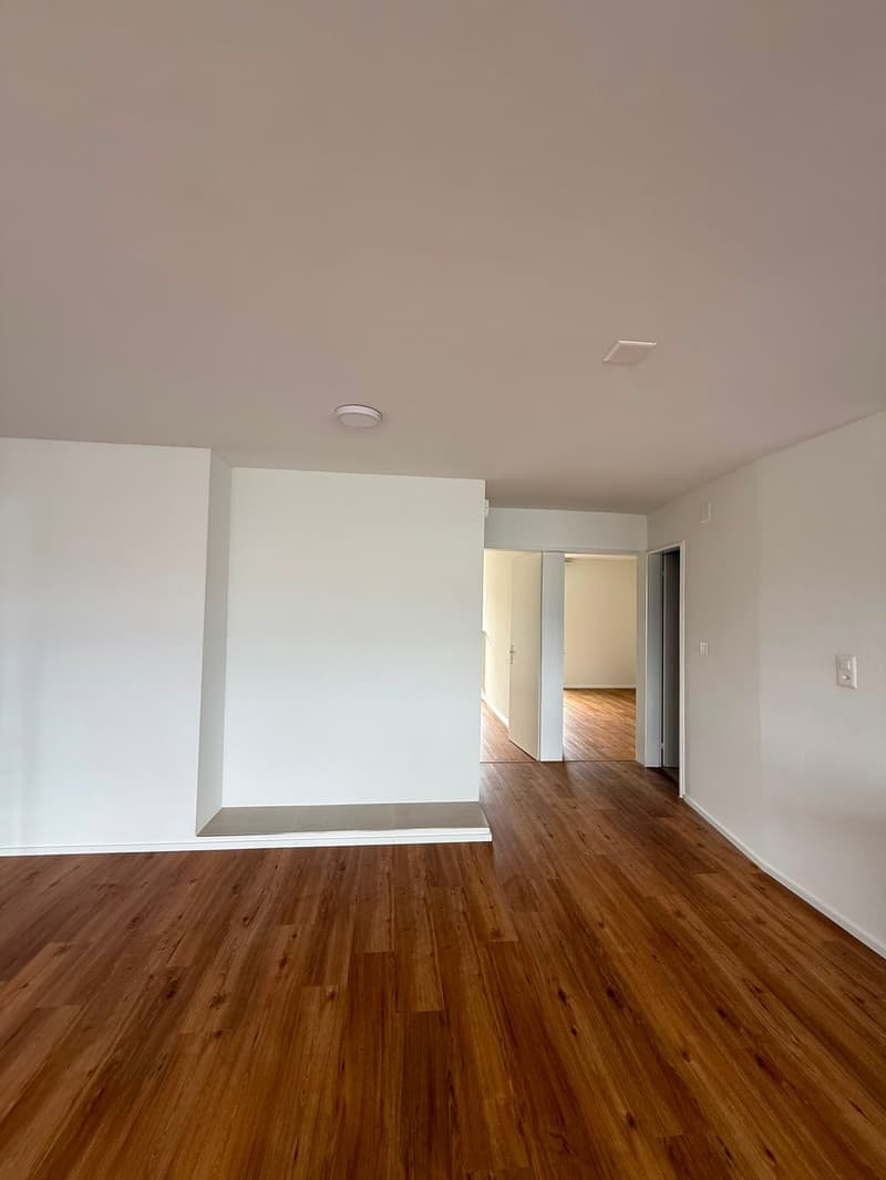 Renovated and bright 4.5-room apartment with balcony and beautiful view in Lucerne (10)