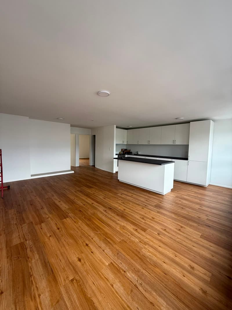 Renovated and bright 4.5-room apartment with balcony and beautiful view in Lucerne (2)