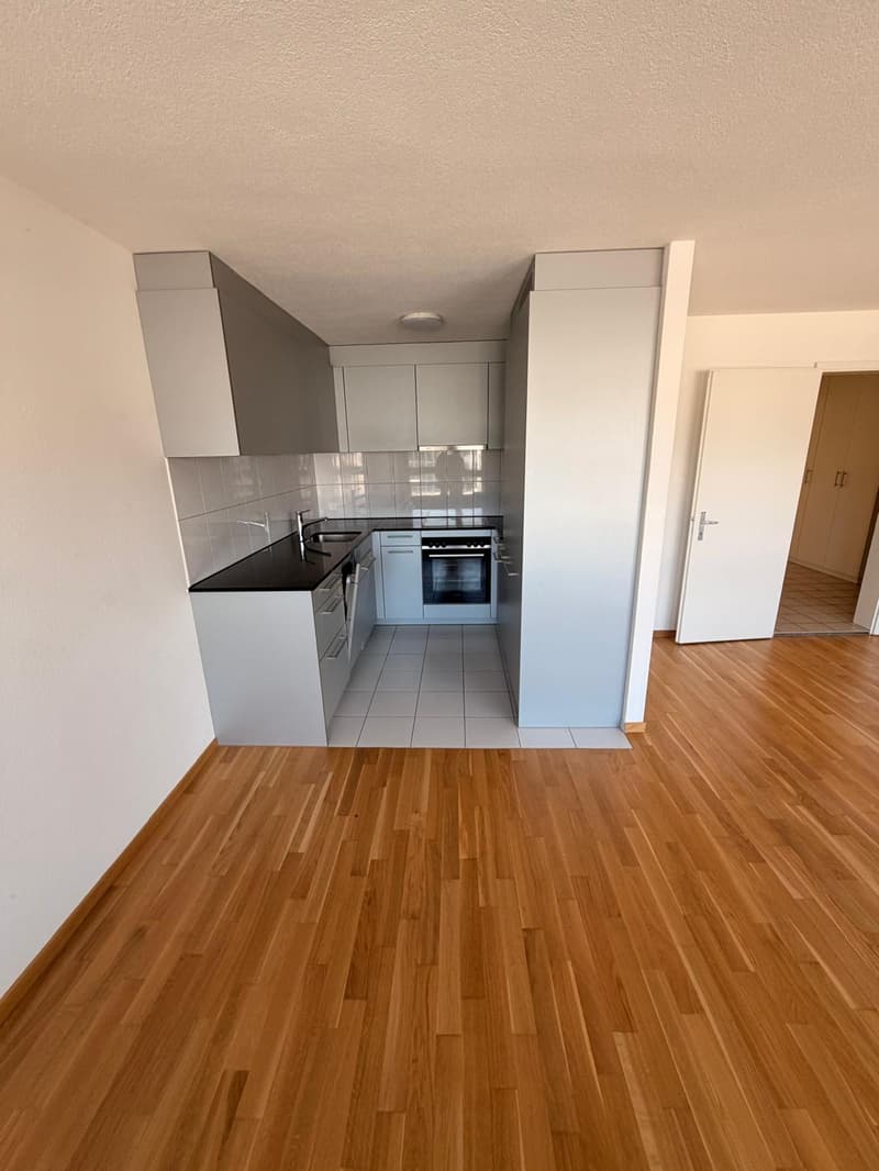Charming 3.5-room apartment with balcony and lake view in Lucerne (4)