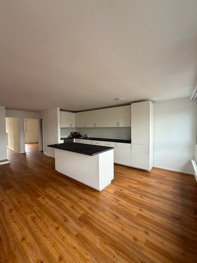 Appartement rénové et lumineux de 4,5 pièces avec balcon et belle vue à Lucerne (4)