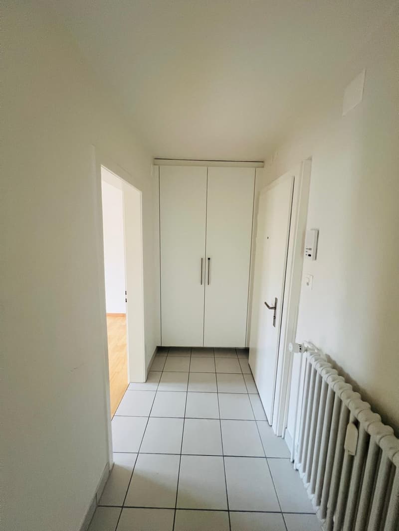 Charmant appartement 3.5 pièces dans un quartier calme à Horw (12)