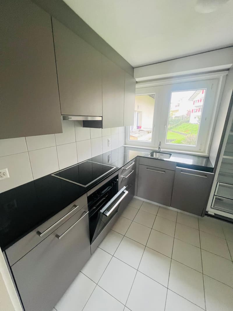 Charmant appartement 3.5 pièces dans un quartier calme à Horw (8)