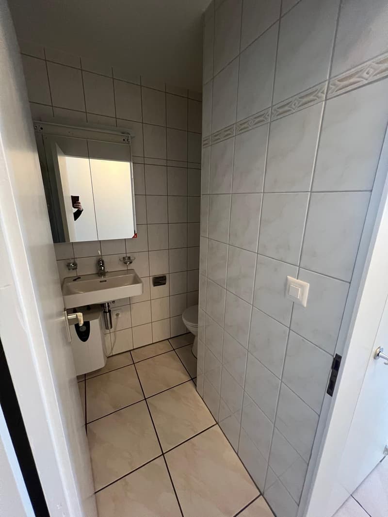 4.5-Zimmerwohnung mit atemberaubendem Ausblick und Mitbenützung der Dachterrasse in Kriens (11)