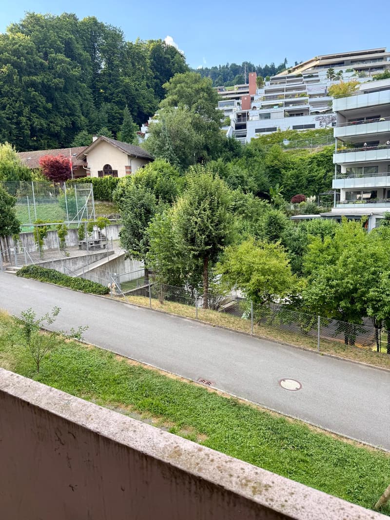 Sonnige 3.5-Zimmer-Wohnung mit Balkon in Kriens zu vermieten (19)