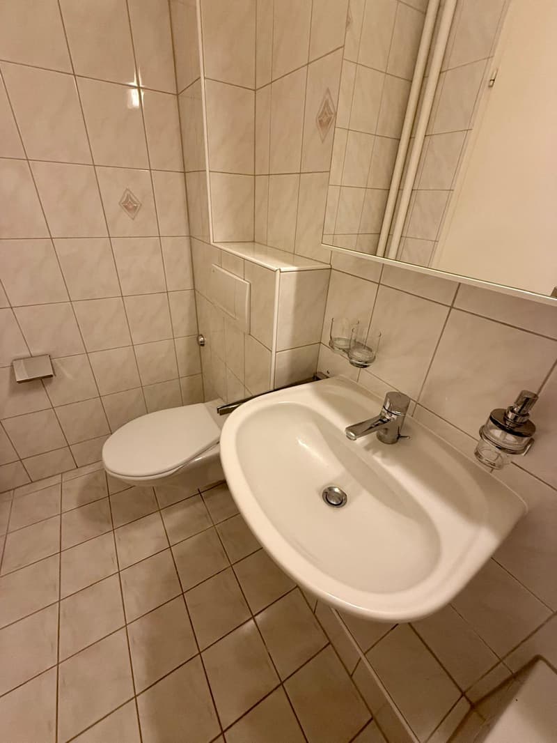 Sonnige 3.5-Zimmer-Wohnung mit Balkon in Kriens zu vermieten (9)