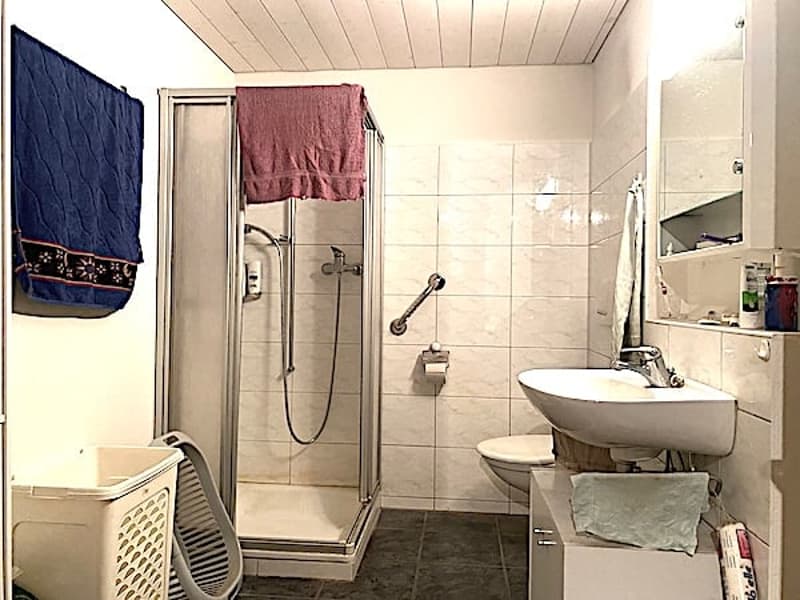Apartment building with 3 apartments and commercial space (20)
